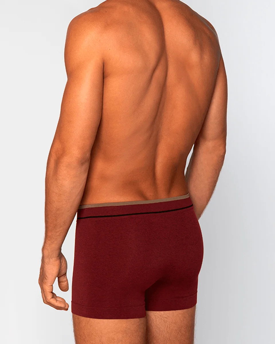 Lupo cueca am boxer 00733-004 (foto 18)
