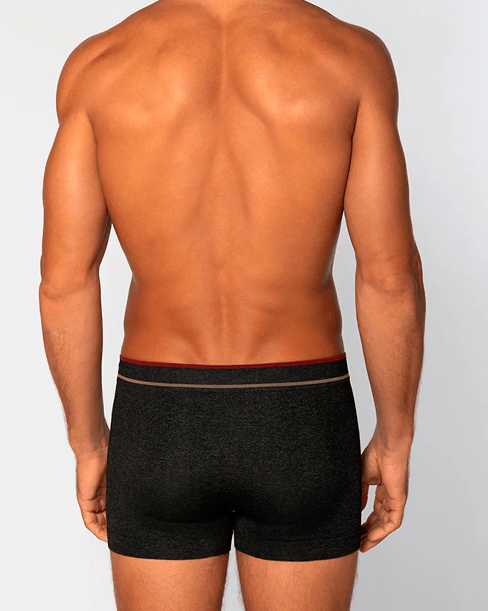Lupo cueca am boxer 00733-004 (foto 8)