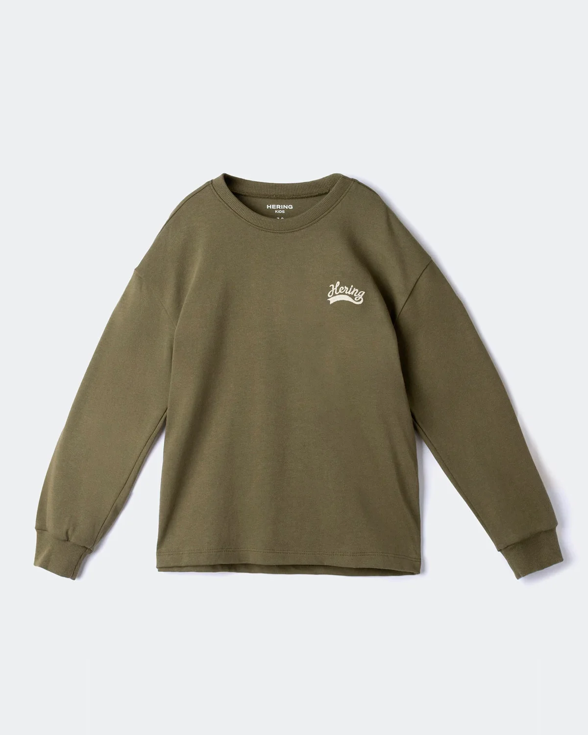 Hering kids camiseta infantil menino manga longa com bordado 5g9b — VERDE (foto 1)