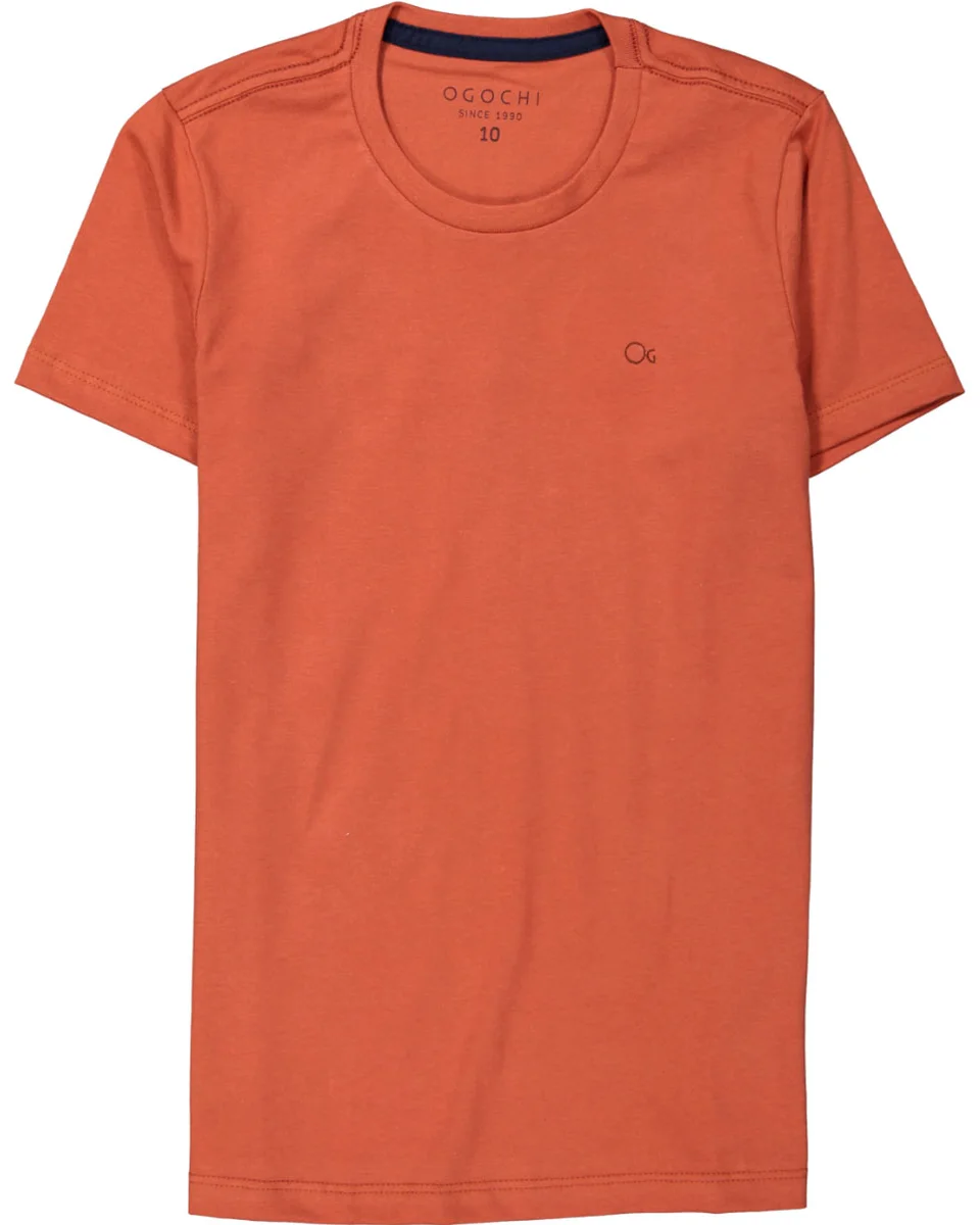 Ogochi camisa infantil gola redonda 006496001 (foto 10)