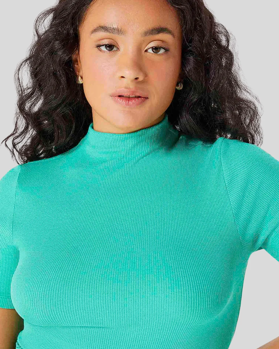 Hering blusa basica feminina gola alta em ribana canelada 4ezv (foto 39)