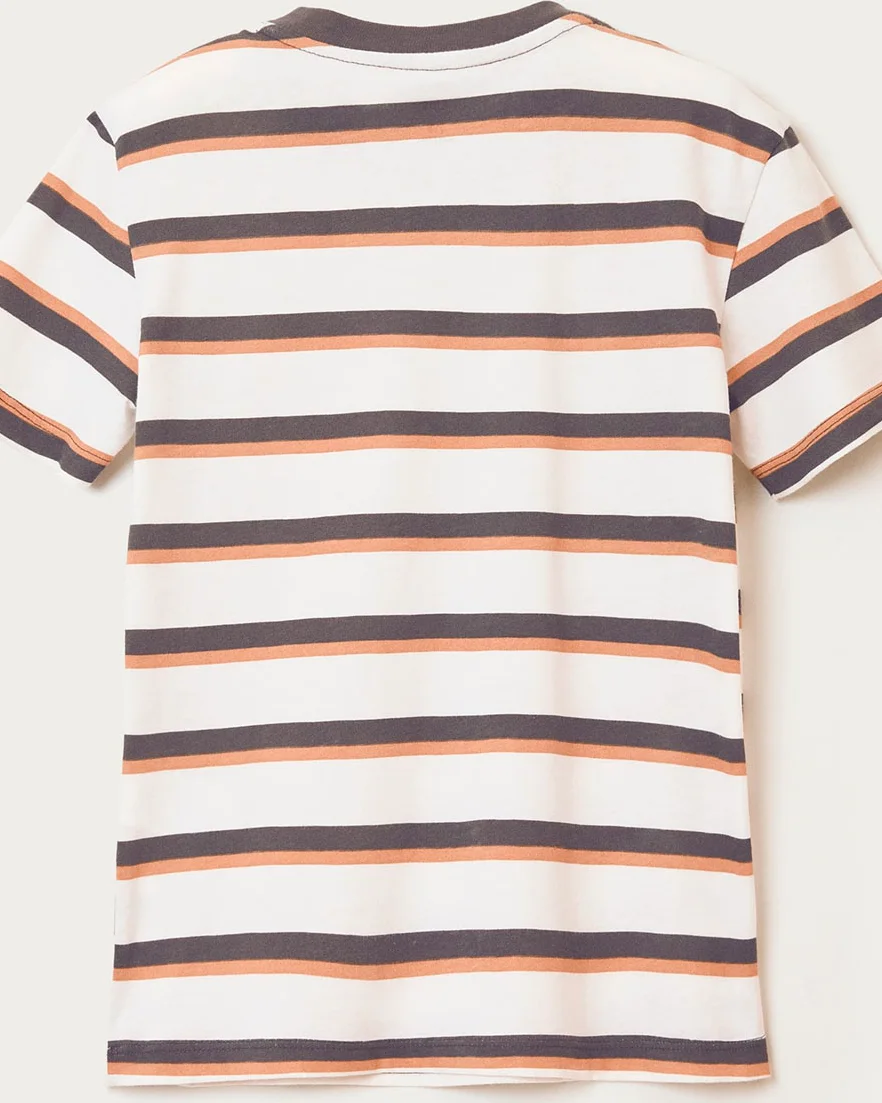 Hering kids camiseta masculina infantil 5dvx — LISTRADO OFF/MARROM (foto 2)