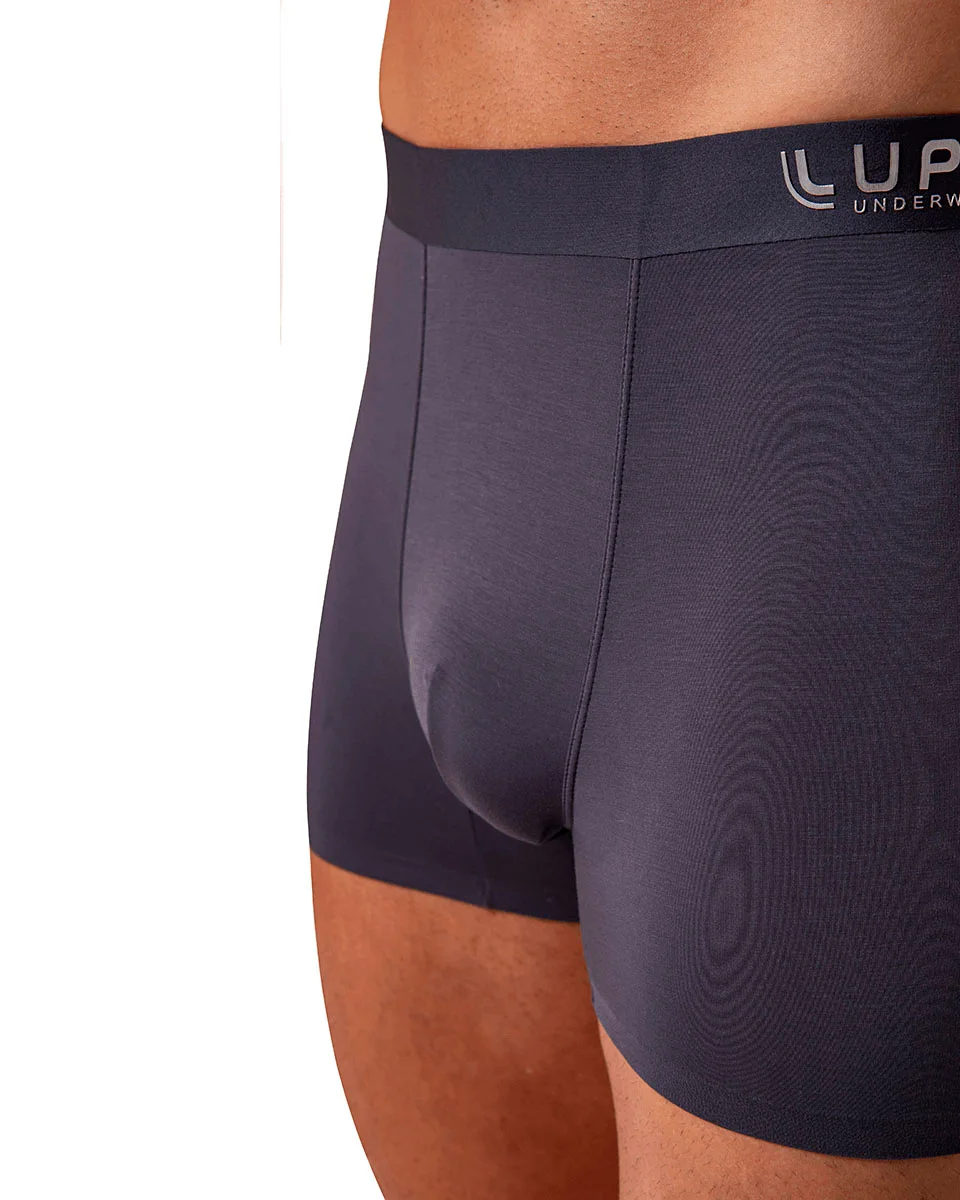 Lupo cueca am boxer tecnofusao microf 18463-001 (foto 7)