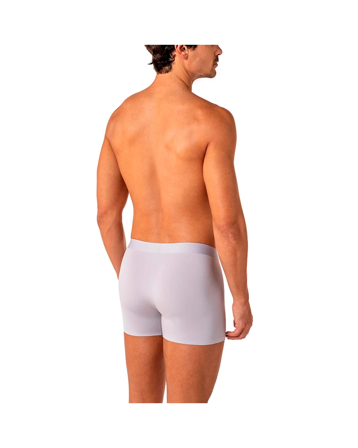 Lupo cueca am boxer tecnofusao microf 18463-001 (foto 4)