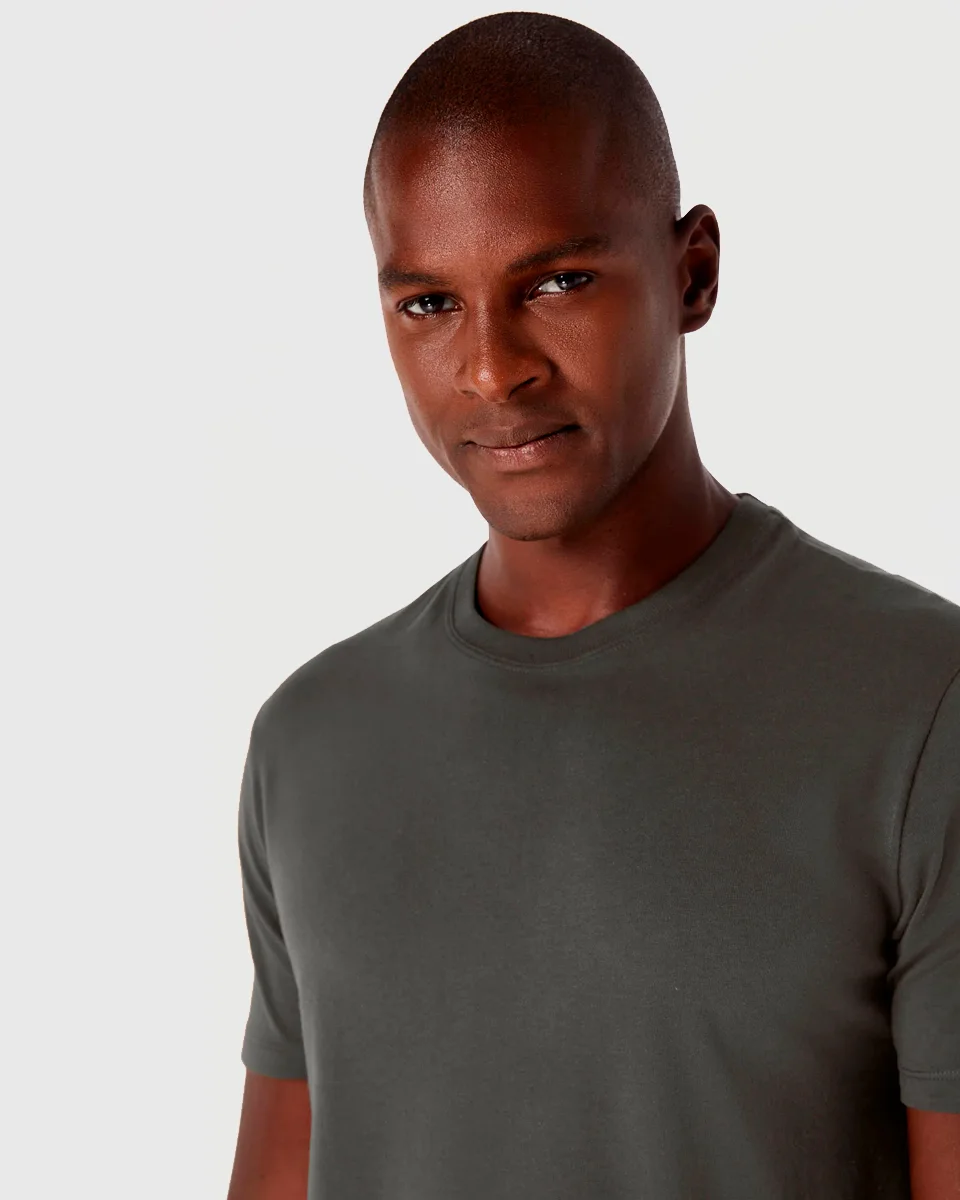 Hering camiseta mm masc 0201 (foto 21)