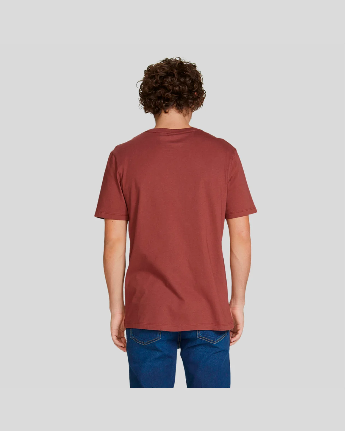 Hering camiseta mm masc 0201 (foto 27)